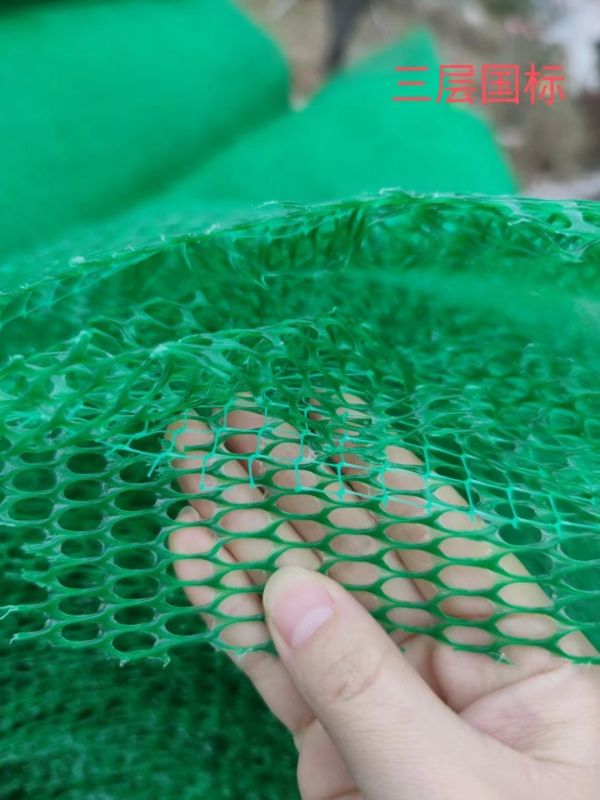 三維植被網(wǎng)護(hù)坡是指什么